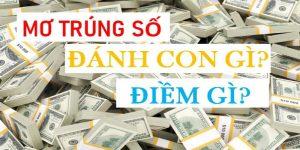 trúng số đánh con gì? bạn hỏi kuwin trả lời